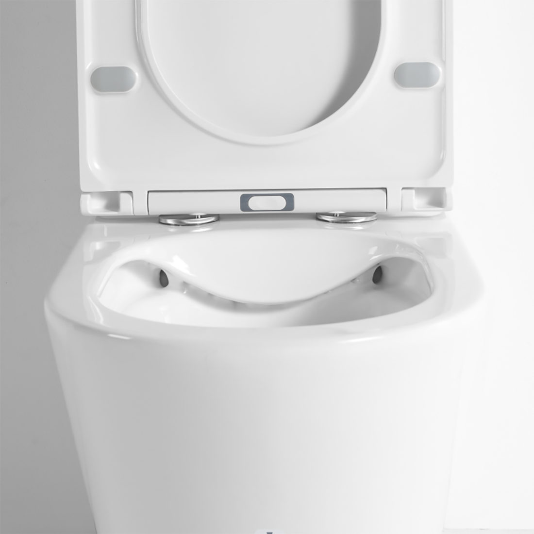 Lora Rimless Toilet Suite