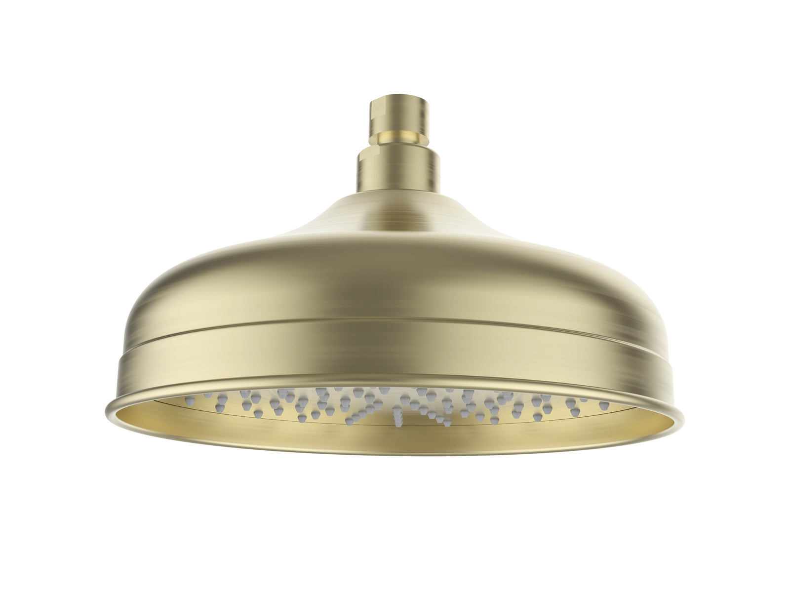 Clasico Shower Head In Brushed Gold